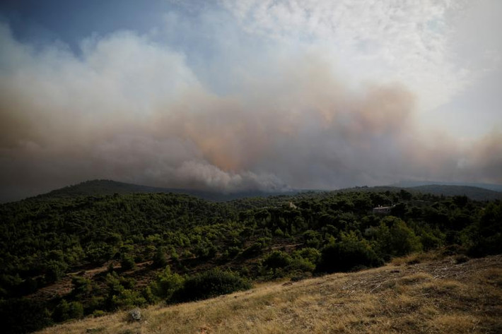 Đám cháy rừng ở Kineta, gần thủ đô Athens, ngày 23/7.
