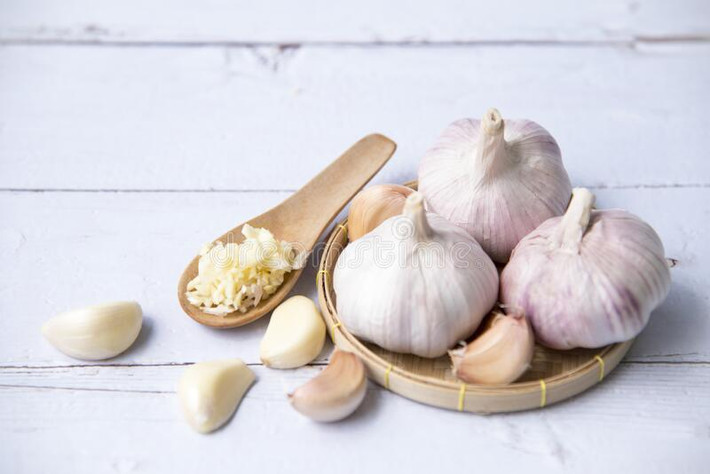 Một nghiên cứu kéo dài 30 năm trên 125.000 người cho thấy rằng tiêu thụ tỏi có liên quan đến việc giảm nguy cơ ung thư dạ dày. Một nghiên cứu của Trung Quốc trên vài trăm bệnh nhân ung thư phổi cho thấy rằng việc ăn tỏi sống thường xuyên có liên quan đến việc giảm nguy cơ ung thư phổi. Ảnh: DT.