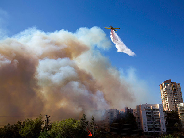 Máy bay tham gia dập lửa ở Israel.