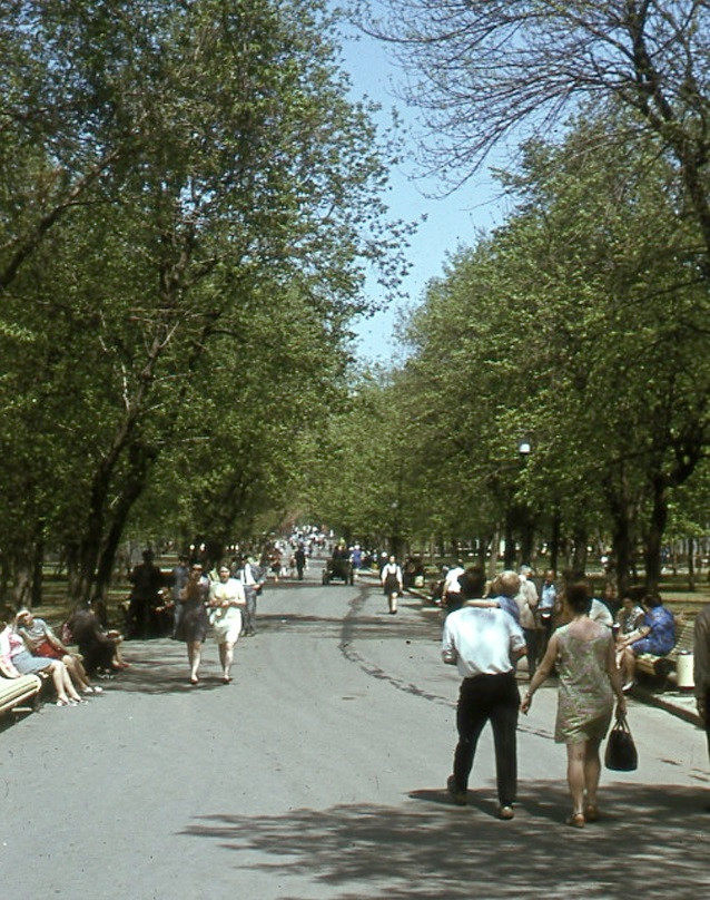 Con đường với hàng cây xanh rợp bóng mát hai bên ở thủ đô Moscow hàng chục năm về trước.