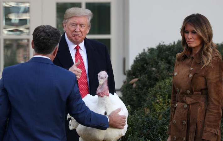 Đệ nhất phu nhân Mỹ Melania xuất hiện bên Tổng thống Trump trong buổi lễ xá tội gà tây tại Nhà Trắng hôm 26/11.