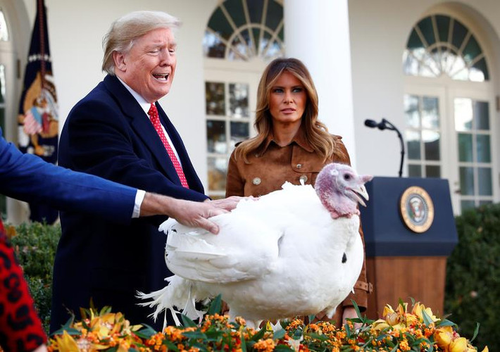 Trong buổi lễ tại Vườn Hồng, Tổng thống Trump nói đùa rằng hai con gà tây này đã nhận được trát của Hạ viện Mỹ để làm chứng luận tội ông. "Rất may, Bánh mì và Bơ được nhà Jackson chăm sóc đặc biệt nhằm giữ bình tĩnh trong bất cứ hoàn cảnh nào. Điều này vô cùng quan trọng bởi chúng vừa nhận được trát hầu tòa tới tầng hầm của Adam Schiff vào ngày 28/11", ông Trump nói, đề cập tới Chủ tịch Ủy ban Tình báo Hạ viện.