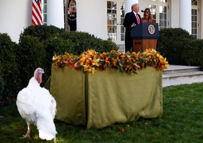 Tổng thống Trump phát biểu trong lễ xá tội gà tây ở Nhà Trắng hôm 26/11. Ông chủ Nhà Trắng dự đoán rằng thông tin về lễ ân xá này sẽ rất phổ biến trên truyền thông.