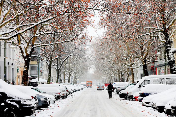 Berlin (Đức): Khi trời đổ tuyết, Công viên Tiergarten ở Berlin trở thành xứ sở thần tiên mùa đông kỳ diệu. Ảnh: toeuropeandbeyond.