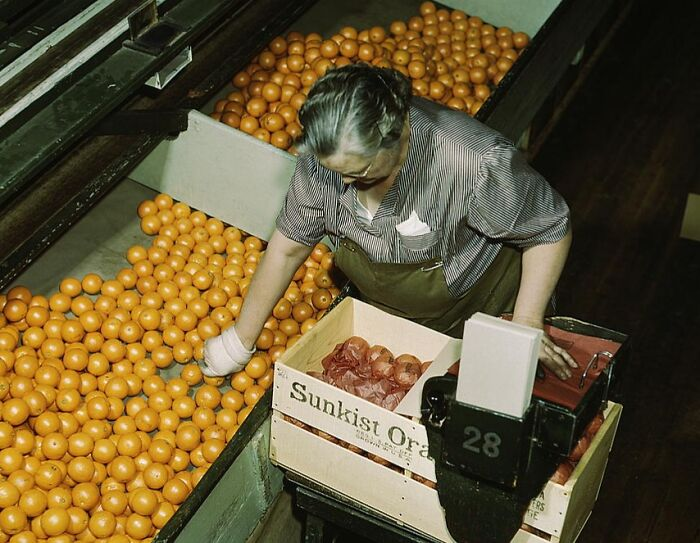 Đóng gói cam tại nhà máy ở Redlands, California, tháng 3/1943.