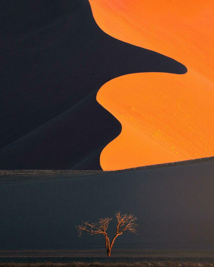 Cồn cát Namibia "siêu thực".