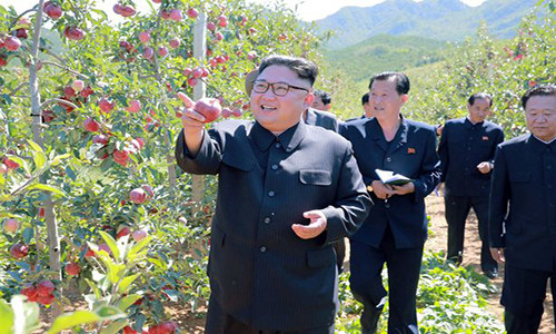 Hãng thông tấn nhà nước Triều Tiên KCNA ngày 21/9 vừa đăng tải nhiều hình ảnh về chuyến thăm mới đây của nhà lãnh đạo Kim Jong-un tới một vườn trái cây ở huyện Kwail, tỉnh Nam Hwanghae.