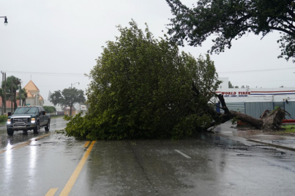 Cây đổ chắn ngang đường ở đại lộ Biscayne, Hollywood, bang Florida, ngày 9/9. Ảnh: Reuters.