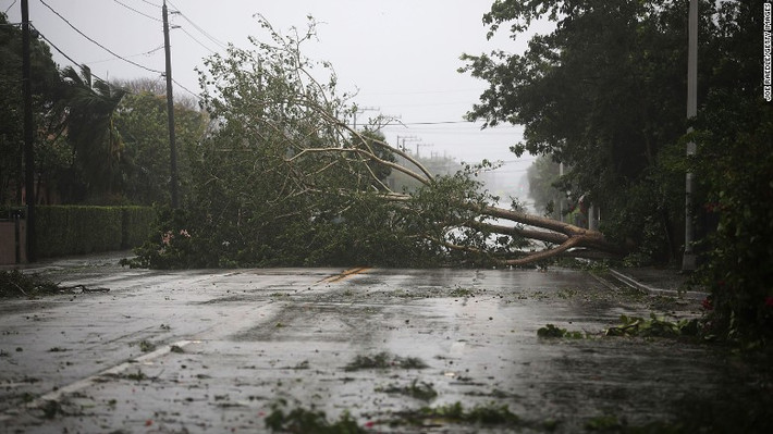 Siêu bão Irma mang theo những cơn mưa lớn và sức gió giật mạnh lên tới hơn 200 km/h đã đổ bộ vào bang Florida hôm 10/9 (giờ địa phương). Ảnh: CNN.