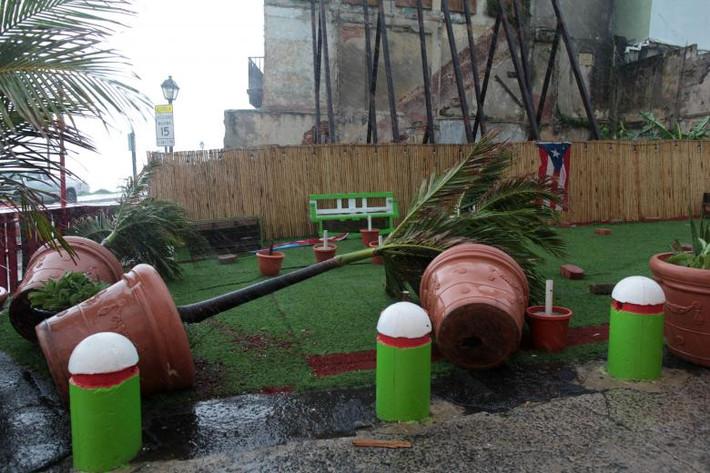Những chậu cây ở San Juan đổ rạp khi bão Irma quét qua những hòn đảo ở Bắc Caribe. Ảnh: Reuters.