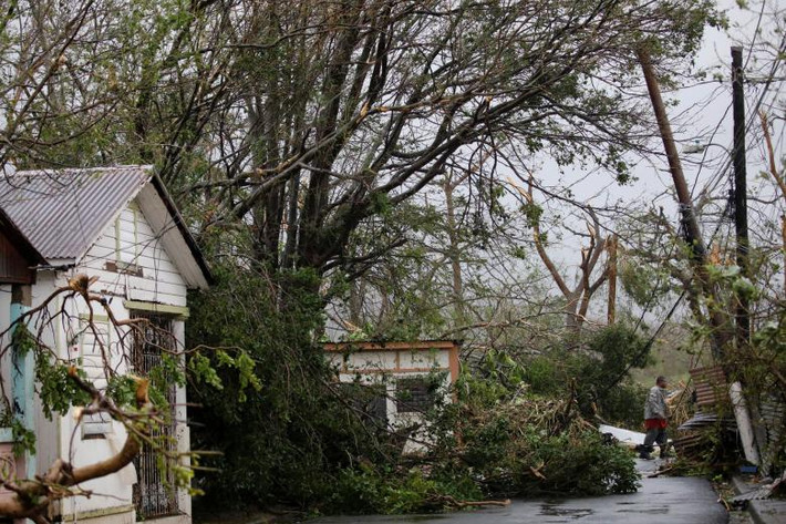 Nhiều cây xanh đổ rạp xuống đường ở Guayama. Ảnh: Reuters.