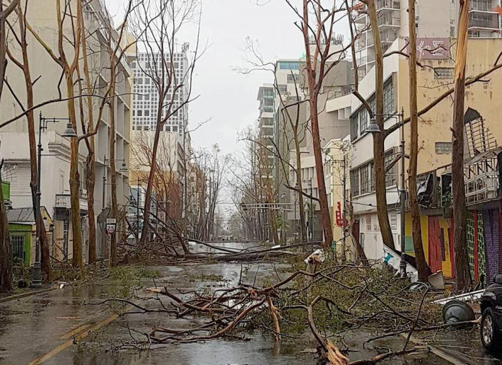 Một con đường ở San Juan ngổn ngang cây đổ. Ảnh: Reuters.