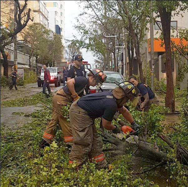 Các công nhân dọn dẹp đường phố sau bão ở San Juan. Ảnh: Reuters.