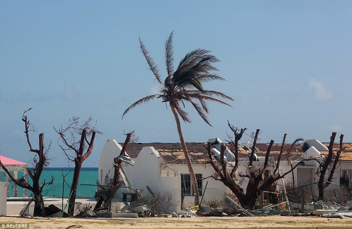 Quá trình sơ tán người dân và du khách rời khỏi đảo St Martin đang diễn ra khẩn trương. Ảnh: Reuters.