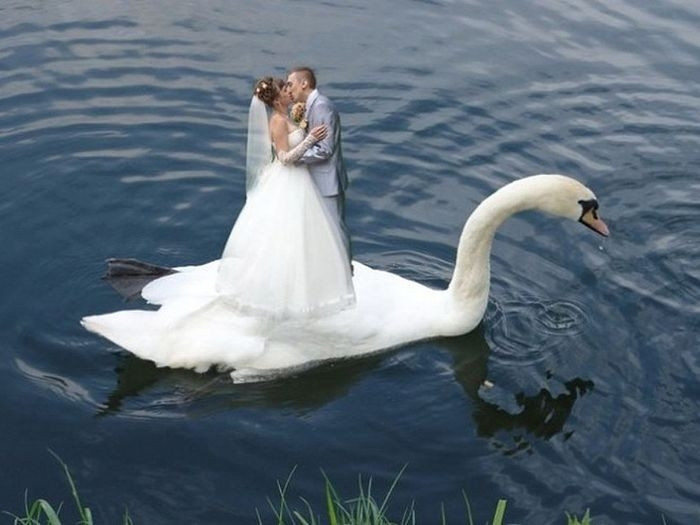 Một bức ảnh cưới thật lãng mạn nhờ công nghệ photoshop. Ảnh: ER.