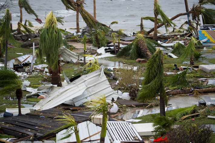 Nhiều cây cọ đổ rạp bên ngoài khách sạn Mercure sau khi bão Irma quét qua. Ảnh: Atlantic.