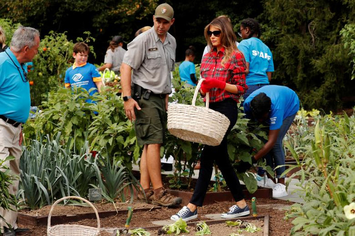 Được biết, khu vườn rau do cựu Đệ nhất phu nhân Mỹ Michelle Obama thiết lập năm 2009 nhằm mục đích nâng cao sức khỏe. Ảnh: Reuters.