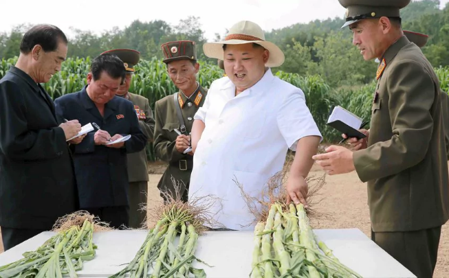 Nhà lãnh đạo Kim Jong-un đưa ra “chỉ đạo” khi tới thăm trang trại số 1116 ở thủ đô Bình Nhưỡng. Ảnh: Telegraph.