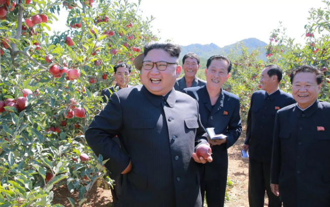 Nhà lãnh đạo Triều Tiên Kim Jong-un cười tươi khi thăm vườn cây ăn quả ở huyện Kwail, tỉnh Nam Hwanghae. Ảnh: Telegraph.