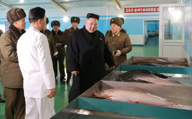 Ông Kim Jong-un thăm trại cá Samchon ở Samchon, Hwanghaenamdo. Ảnh: Telegraph.