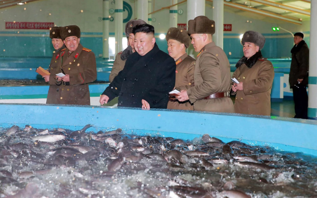 Ảnh chụp nhà lãnh đạo Triều Tiên Kim Jong-un cười tươi trong trại cá. Ảnh: Telegraph.