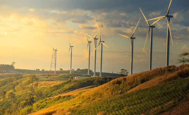 Texas dẫn đầu trong ngành công nghiệp năng lượng gió và người ta có thể bắt gặp “trang trại” gió (nhóm tua bin được dùng để sản xuất ra điện từ gió) trên khắp bang này. Ảnh: List25.