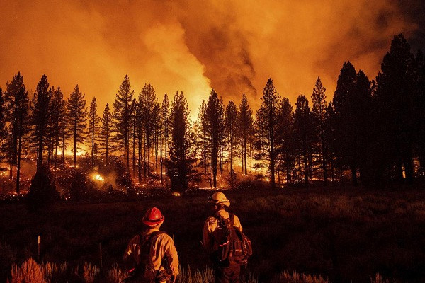 Biến đổi khí hậu được cho là nguyên nhân chính gây ra thảm họa cháy rừng gần đây ở California.