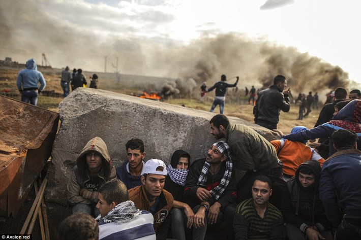 Quân đội Israel cho biết, khoảng 3.500 người Palestine đã tham gia biểu tình gần hàng rào biên giới Gaza hôm 15/12. Ảnh: Daily Mail.