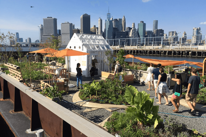 Công viên nổi Swale ở khu Brooklyn, New York, năm 2016. Ảnh: BI.