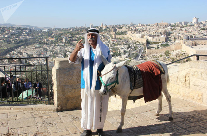 Người đàn ông dắt chú lừa trên Núi Đền ở Jerusalem ngày 12/11/2015. Ảnh: Sputnik.