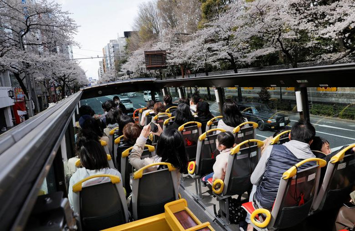 Hành khách đeo khẩu trang ngồi trên xe buýt ngắm hoa anh đào nở rộ hai bên đường ở Tokyo, Nhật Bản, ngày 22/3.
