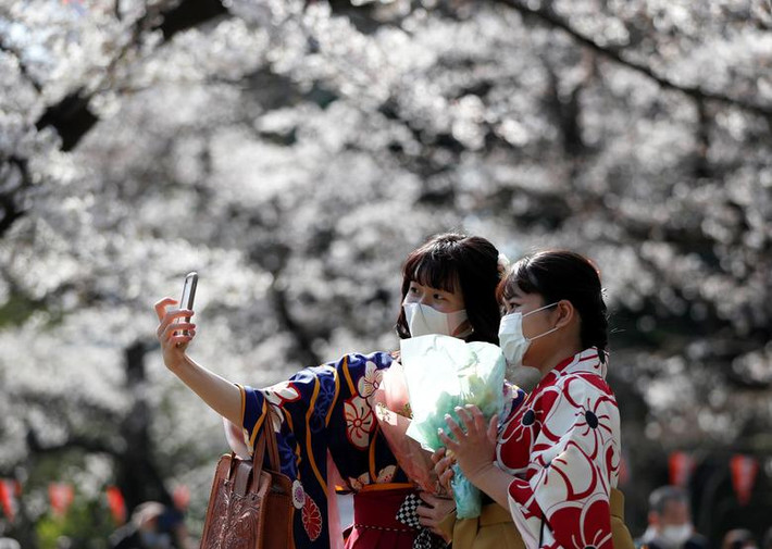 Hai cô gái mặc kimono, đeo khẩu trang chụp ảnh giữa rừng hoa anh đào nở rộ trong Công viên Ueno ở Tokyo, Nhật Bản, ngày 23/3.