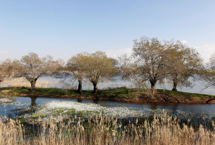 Cảnh sắc mùa xuân ở Ammiq, thung lũng Bekaa, Lebanon, trong bức ảnh chụp ngày 24/2.