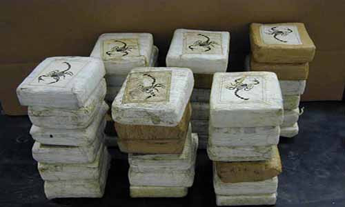 Năm 2008, cảnh sát đã tịch thu gần 50 tấn cocaine tại Mỹ, với tổng giá trị lên tới gần 1,5 tỷ USD.