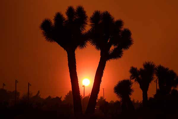 Cháy rừng dữ dội ở California (Mỹ) tại quận Lake và Rừng quốc gia San Bernardino những ngày qua đã khiến hàng chục nghìn người dân phải sơ tán.