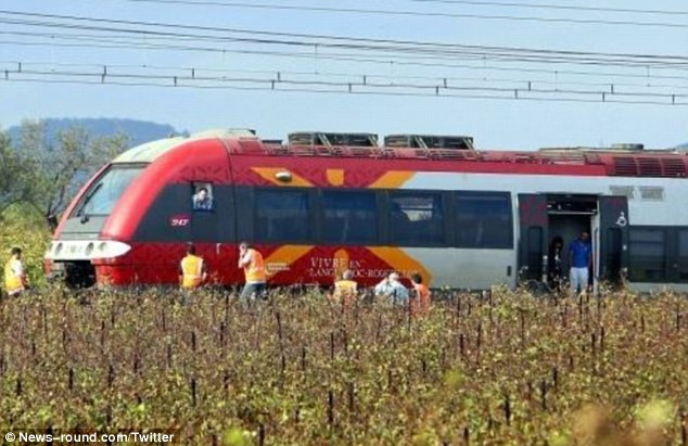 Con tàu đang di chuyển với vận tốc 140 km/h thì bất ngờ đâm vào một cái cây nằm chắn ngang đường ray tàu. Được biết, cây này đã bị bật gốc sau một cơn bão.