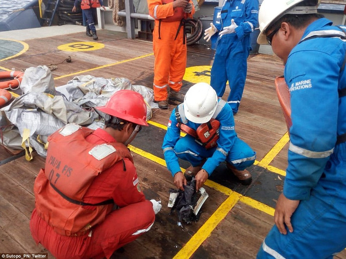 Trên chiếc máy bay rơi ở Indonesia có 188 người, bao gồm 181 hành khách, trong đó có 3 trẻ em, 2 phi công và 5 tiếp viên hàng không. Ảnh: Twitter.