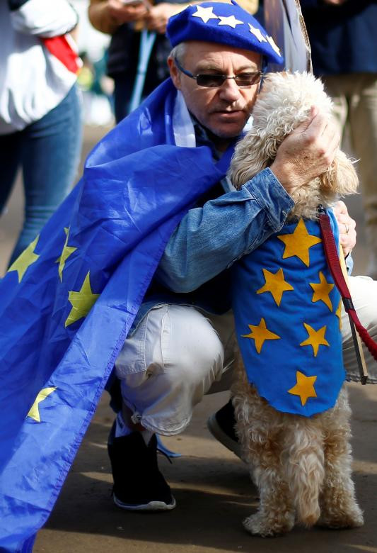 Được biết, cuộc tuần hành Wooferendum có sự tham gia của hàng nghìn chú chó này ủng hộ Chiến dịch People's Vote về Brexit, trong đó người dân Anh có cơ hội bỏ phiếu về bất cứ thỏa thuận Brexit nào mà Thủ tướng Theresa May có thể mang về từ Brussels.