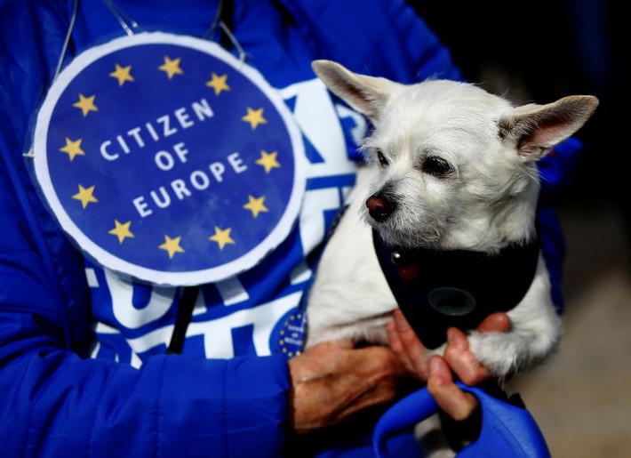 Các nhà tổ chức Wooferendum cho rằng loài động vật sẽ bị ảnh hưởng khi Anh rời EU bởi Brexit có thể sẽ dẫn đến tình trạng thiết hụt bác sĩ thú y cũng như khiến giá cả thức ăn cho vật nuôi tăng lên.