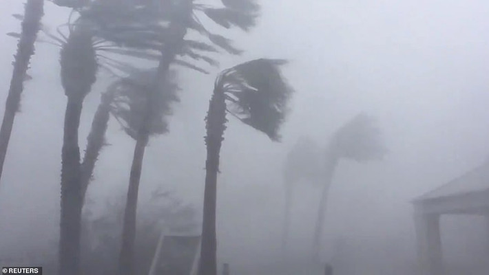 Theo Daily Mail, siêu bão Michael mạnh cấp 4 mang theo những cơn mưa lớn và gió mạnh đã đổ bộ vào bang Florida hôm 10/10 (giờ địa phương), phá hủy nhiều công trình và gây ngập lụt nghiêm trọng tại nhiều khu vực, trong đó có thành phố Mexico Beach, Panama City và Tallahassee,...Ảnh: Reuters.