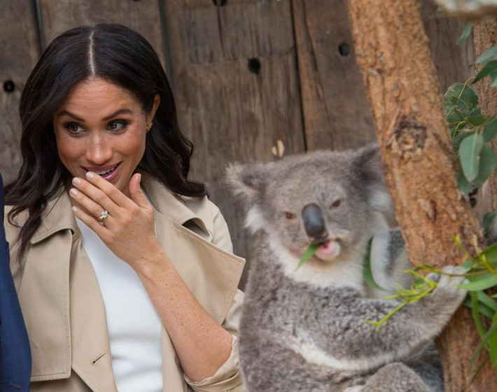 Công nương Meghan Markle tại vườn thú Taronga.