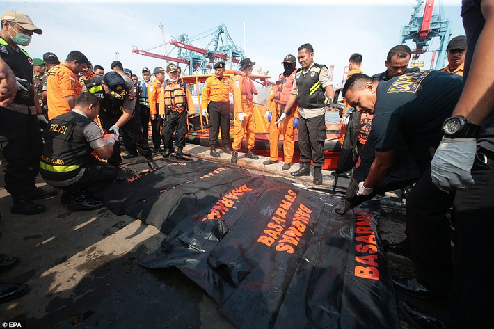 Phát ngôn viên của Basarnas cho biết bình nhiên liệu của chiếc Boeing-737 Max 8 mang số hiệu JT610 nhiều khả năng năng đã gặp trục trặc và phát nổ, khiến chiếc Boeing 737 lao thằng xuống mặt biển.