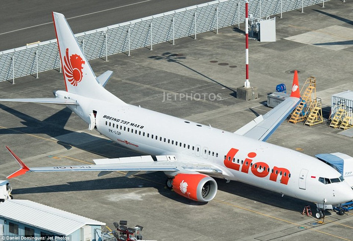 Chiếc máy bay Boeing 737 MAX 8 mang số hiệu JT610 của hãng hàng không Lion Air khởi hành từ thủ đô Jakarta lúc 6h20 ngày 29/10 và dự kiến đáp xuống thành phố Pangkal Pinang lúc 7h20 sáng cùng ngày. Tuy nhiên, máy bay biến mất khỏi màn hình radar lúc 6h33, chỉ 13 phút sau khi cất cánh. (Nguồn ảnh: Daily Mail)