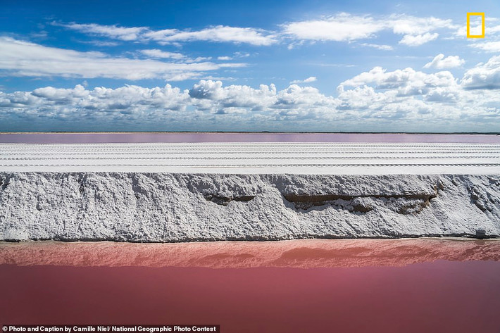 Màu sắc đặc biệt của hồ nước tại làng Las Coloradas ở Yucatan, Mexico. Đây là tác phẩm dự thi của Camille Niel.