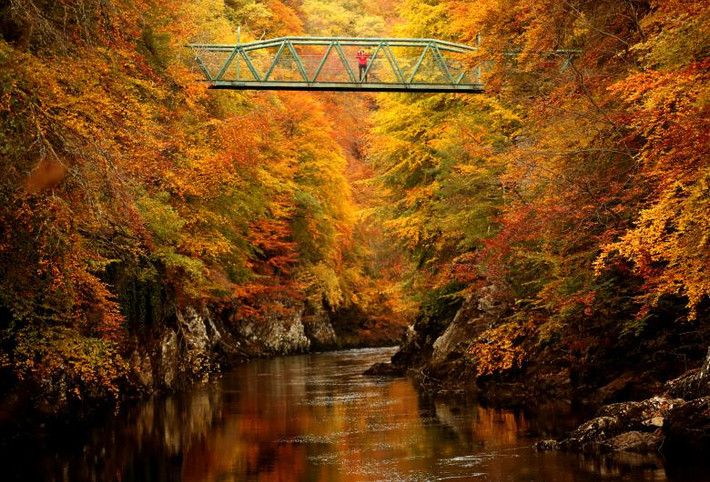 Cảnh sắc mùa thu tuyệt đẹp với rừng cây lá vàng quanh dòng sông Garry gần Pitlochry, Scotland ngày 10/10/2018. (Nguồn ảnh: Reuters)