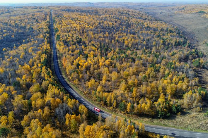 Rừng taiga hai bên đường cao tốc ở vùng Krasnoyarsk, Siberia thuộc Nga, trong bức ảnh chụp ngày 29/9.