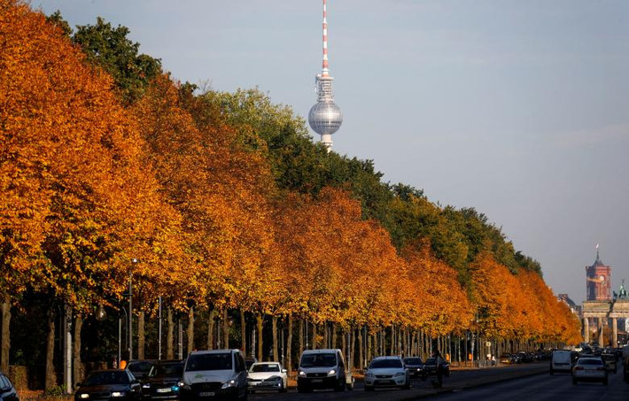 Hàng cây lá vàng trong công viên Tiergarten phía trước tháp truyền hình ở thủ đô Berlin, Đức, ngày 10/10.