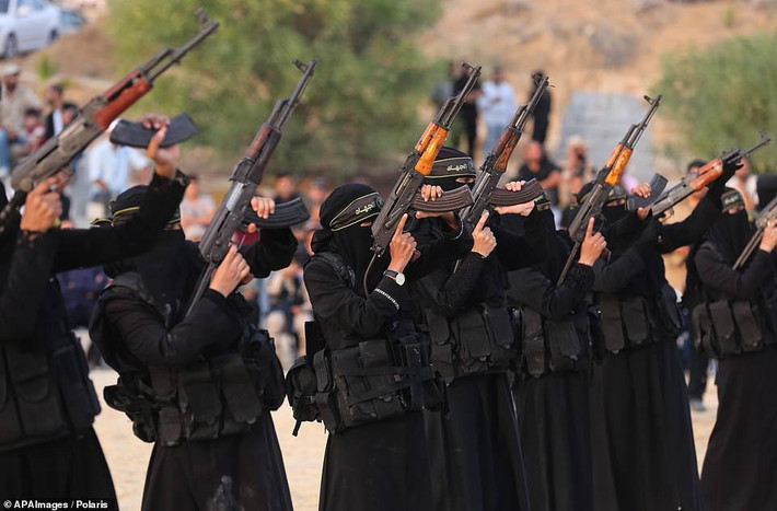 Được biết, thông tin về nhóm nữ du kích Palestine thuộc Lữ đoàn al-Quds xuất hiện và thu hút sự chú ý từ hồi tháng 12/2017, sau khi Tổng thống Mỹ Donald Trump công nhận Jerusalem là thủ đô của Israel, làm bùng nổ các cuộc xung đột tại Dải Gaza.
