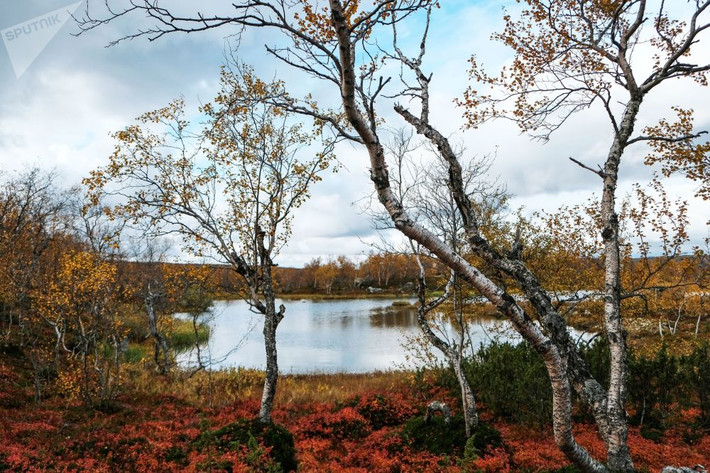 Murmansk ở bán đảo Kola có phong cảnh thiên nhiên tuyệt đẹp, thu hút đông đảo du khách.