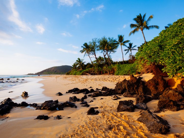 Hầu hết người dân ở đây không thể nói tiếng Hawaii một cách lưu loát. Theo SAIVUS, chưa đầy 1% dân số Hawaii có thể nói trôi chảy tiếng bản địa.
